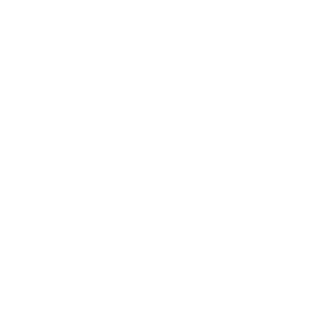 Logo TDV Industries blanc